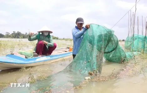 Khai thác "lộc trời", biến giá trị của mùa nước nổi thành sản phẩm du lịch