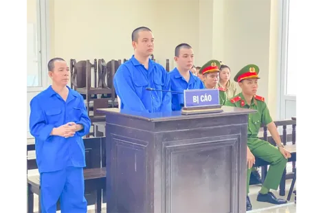 Biết con sử dụng ma túy nhưng không ngăn cản, 2 cha con cùng lãnh án