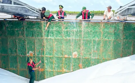 Cà Mau: Biên phòng phát hiện lượng lớn phân Urê không rõ nguồn gốc