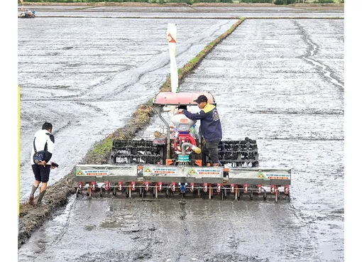 Tiếp cận kỹ thuật mới cho 1 triệu héc-ta lúa tại ĐBSCL