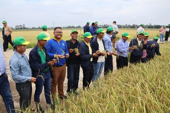 ក្រ​សួង​កសិ​កម្ម​ រុក្ខា​ប្រ​មាញ់​និង​នេសាទ​កម្ពុជា​ មក​សិក្សា​បទ​ពិសោធន៍​ដាំ​ដុះ​ស្រូវ​ឆ្លាត​វៃ​ កាត់​បន្ថយ​ការ​បំ​ភាយ​ឧស្ម័ន​នៅ​វិទ្យា​ស្ថាន​ស្រូវ​វាល​រាប​ទន្លេ​គឺ​វឡុង​