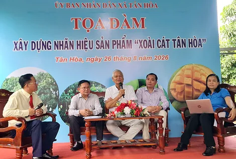 Tọa đàm Xây dựng nhãn hiệu sản phẩm “Xoài cát Tân Hòa”