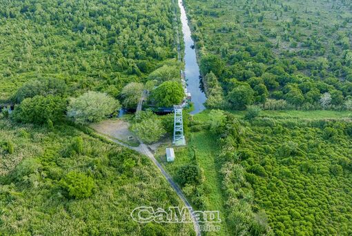 Ca Mau's U Minh Ha becomes next ecotourism frontier