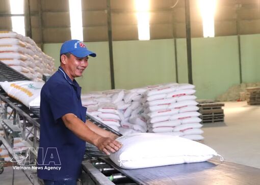 Vietnam’s rice exports reach 2.91 billion USD in eight months