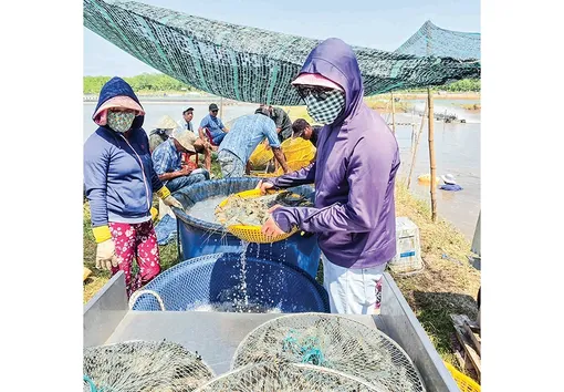 Ứng dụng công nghệ cao, phát triển nuôi trồng thủy sản bền vững