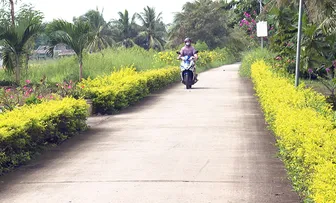 Những tuyến đường quê thông thoáng, rực sắc hoa