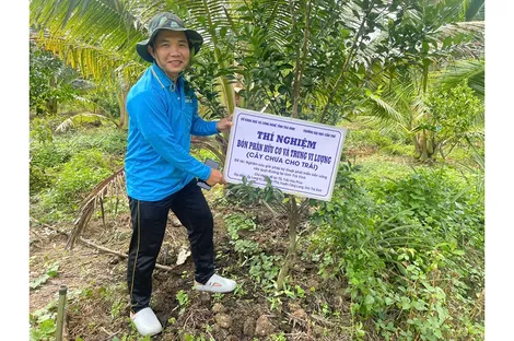 Nghiên cứu giải pháp kỹ thuật phát triển bền vững cây quýt đường