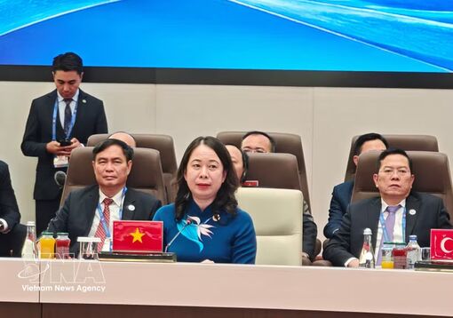 Vice President attends Shanghai Cooperation Organisation Plus Summit in Kyrgyzstan