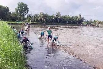 Hiệu quả mô hình sản xuất thích ứng biến đổi khí hậu
