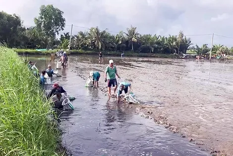 Hiệu quả mô hình sản xuất thích ứng biến đổi khí hậu