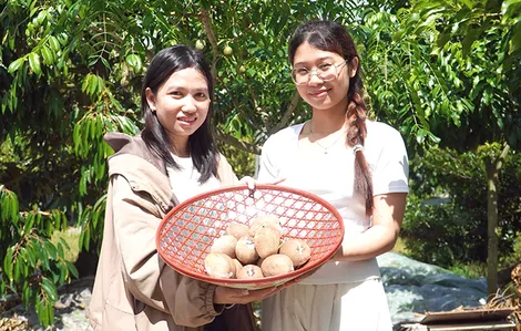 Làm du lịch từ... vườn nhà