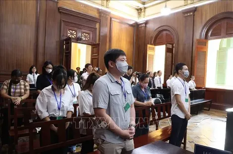 Tuyên án tử hình 11 bị cáo trong vụ án ma túy liên quan đến tiếp viên hàng không