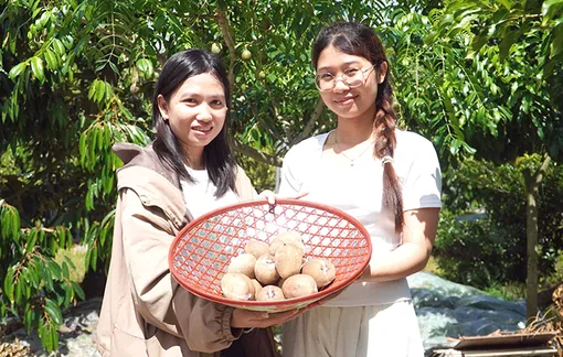 Làm du lịch từ... vườn nhà