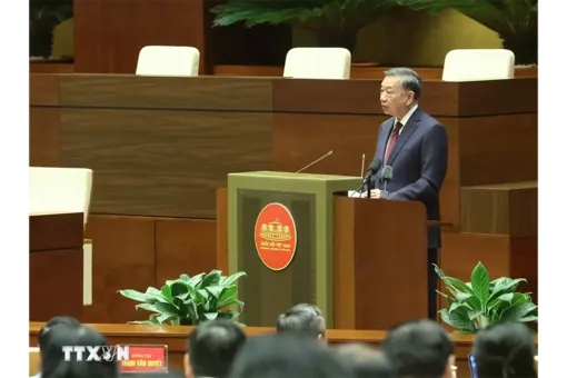 Phát biểu của Tổng Bí thư, Chủ tịch nước Tô Lâm tại Hội nghị toàn quốc quán triệt và triển khai thực hiện một số Nghị quyết, Chỉ thị của Bộ Chính trị