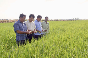 ចង​សម្ព័ន្ធ​ផលិត​ លើក​កម្ពស់​ប្រ​សិទ្ធ​ភាព​សេដ្ឋ​កិច្ច​
