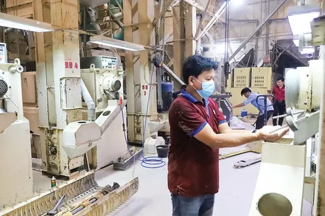 Chuẩn từ vùng trồng tới đầu ra