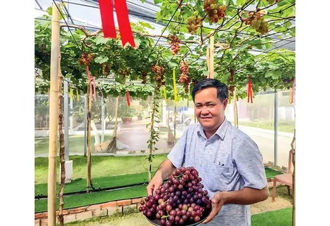 Thi đua sản xuất, kinh doanh giỏi