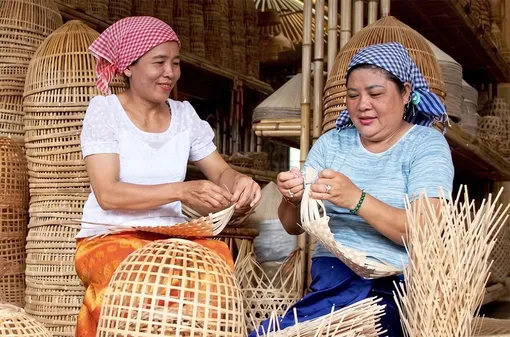 Cooperatives play role in building modern rural landscapes