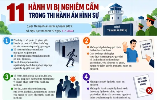 [INFOGRAPHICS] 11 hành vi bị nghiêm cấm trong thi hành án hình sự
