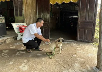Xã Cù Lao Dung tiêm phòng khẩn cấp bệnh dại