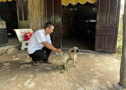 Xã Cù Lao Dung tiêm phòng khẩn cấp bệnh dại