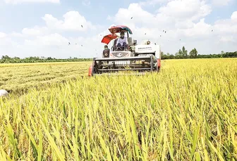Phát triển nông nghiệp tạo động lực cho mục tiêu tăng trưởng kinh tế
