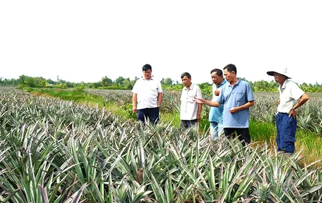 Xây dựng quê hương giàu đẹp