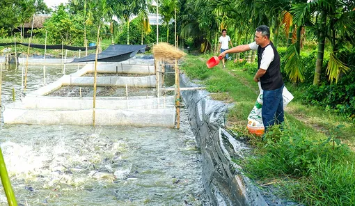 Đưa nghị quyết thành hành động thực chất