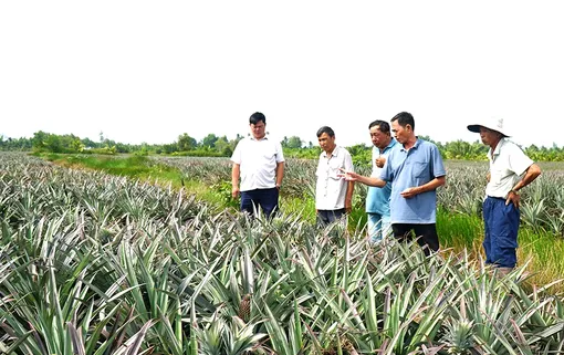 Xây dựng quê hương giàu đẹp