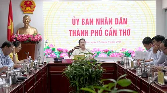 Vào cửa tự do, giữ xe miễn phí xem Câu lạc bộ Bóng đá ​Thép Cần Thơ thi đấu