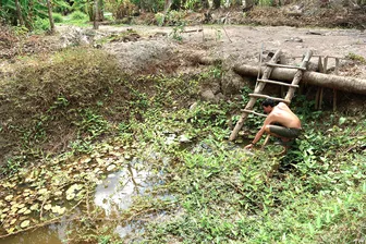 El Nino tới sớm, khoảng 13.700 hộ dân ở Cà Mau thiếu nước sinh hoạt