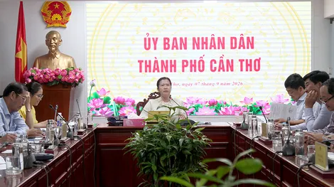 Vào cửa tự do, giữ xe miễn phí xem Câu lạc bộ Bóng đá ​Thép Cần Thơ thi đấu