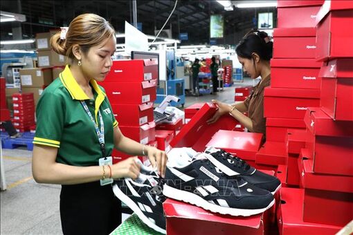 Vietnamese exporters pivot to ease pressure from US tariffs