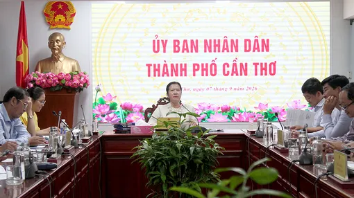 Vào cửa tự do, giữ xe miễn phí xem Câu lạc bộ Bóng đá ​Thép Cần Thơ thi đấu
