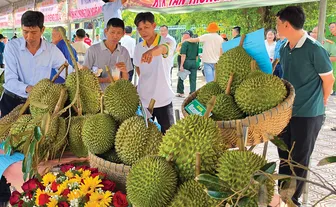 Hiện đại hóa nông nghiệp từ tư duy liên kết chuỗi