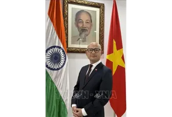 Việt Nam chủ động đóng góp, phát huy vai trò Đối tác trong BRICS