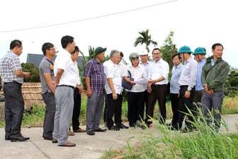 Triển khai xây dựng công trình khẩn cấp gia cố sạt lở bờ sông Hậu tại xã Cù Lao Dung