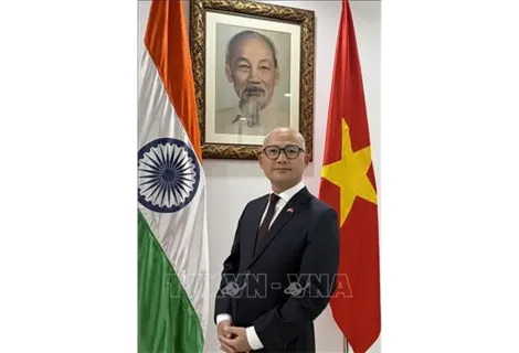 Việt Nam chủ động đóng góp, phát huy vai trò Đối tác trong BRICS