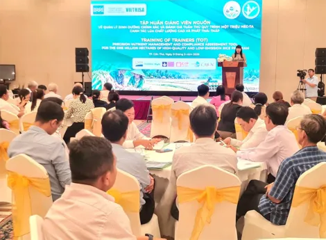 Chuẩn hóa đội ngũ giảng viên nguồn để bảo đảm quy trình sản xuất lúa chất lượng cao, phát thải thấp