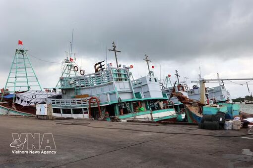 Ho Chi Minh City steps up enforcement to address outstanding IUU fishing issues