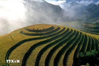 Gợi ý những cung đường vàng mùa lúa chín giàu bản sắc trên rẻo cao Tây Bắc