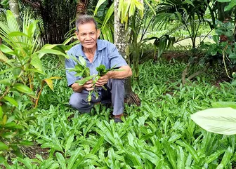 Những cựu chiến binh làm kinh tế giỏi