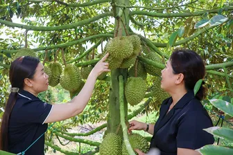 Chuyển đổi chiến lược để chinh phục thị trường tỉ dân