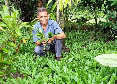 Những cựu chiến binh làm kinh tế giỏi