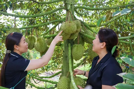 Chuyển đổi chiến lược để chinh phục thị trường tỉ dân