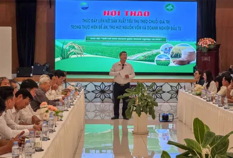 Thúc đẩy liên kết sản xuất, tiêu thụ lúa chất lượng cao và phát thải thấp