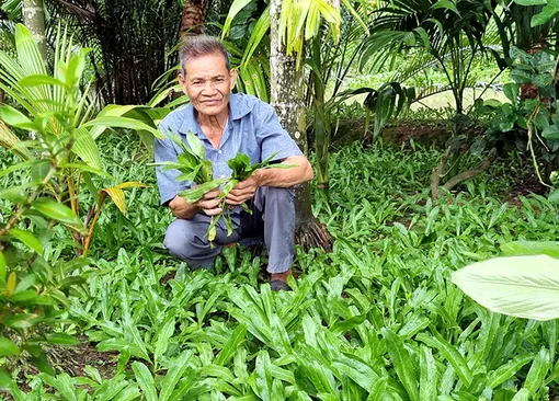 Những cựu chiến binh làm kinh tế giỏi
