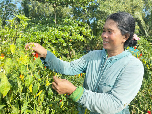 ឈានឡើងចាកផុតពីភាពក្រីក្រពីបាតដៃទទេ