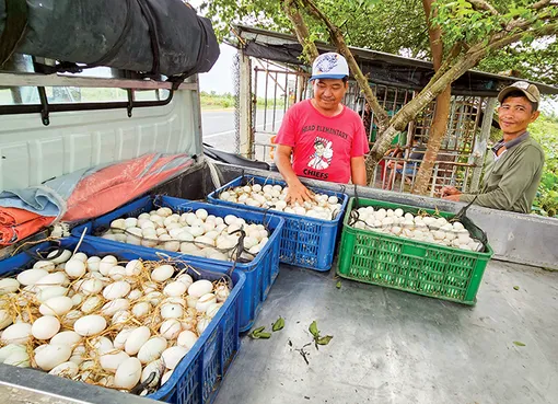 DẠO QUANH THỊ TRƯỜNG