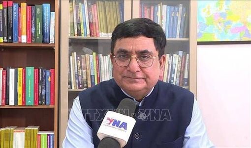 Vietnam can share development experience through BRICS: Indian professor
